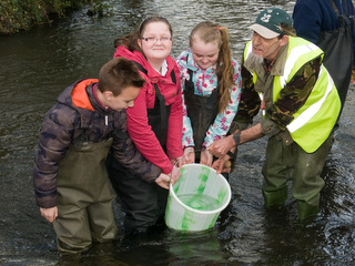 Culvers House - releasing fish