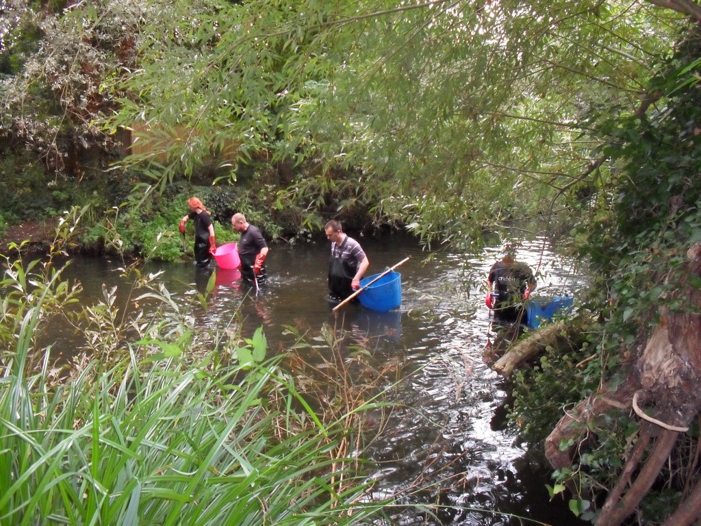 Volunteers in the River