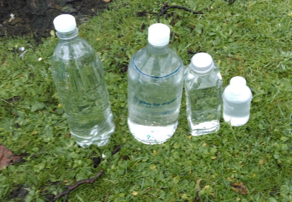 The Water Samples