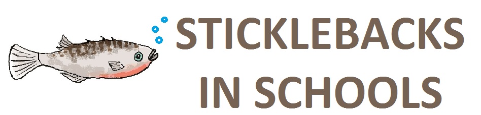 Sticklebacks in Schools