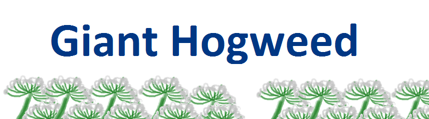 Giant HOgweed